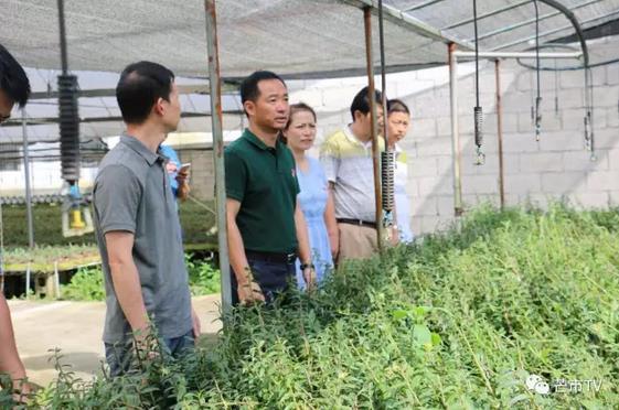 360截图20170925173515665