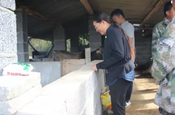 360截图20171019102420471