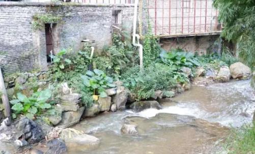 360截图20171019101705207