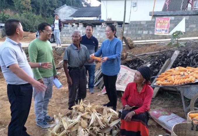 360截图-1990842375