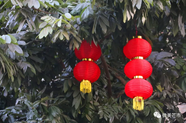 QQ截图20180131153624