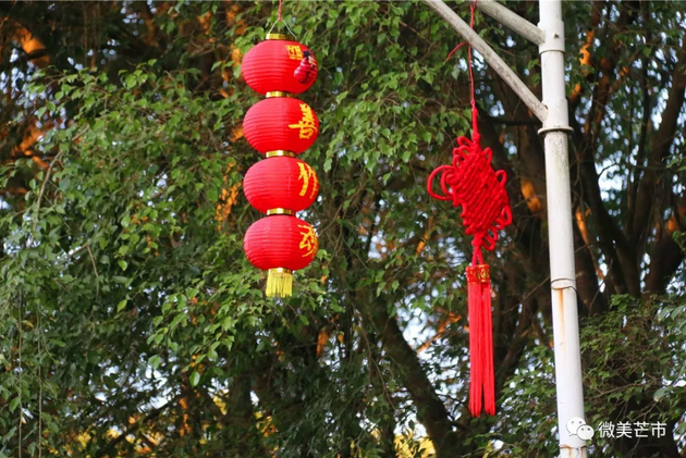 QQ截图20180131153610