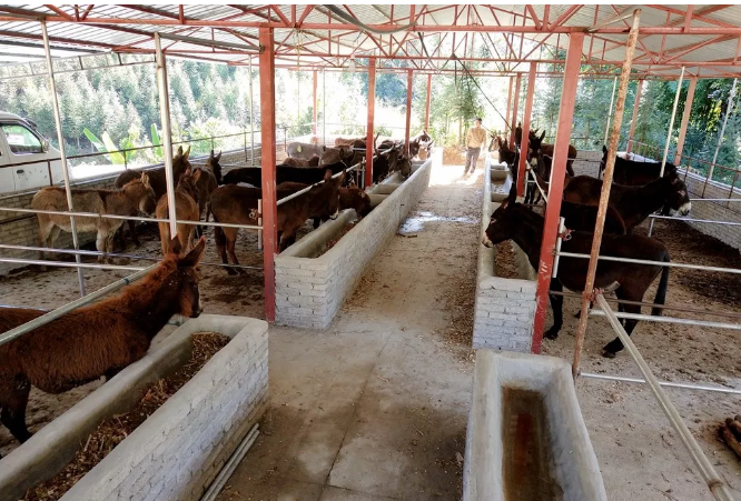 QQ截图20180228171357