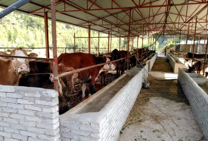 QQ截图20180228171421