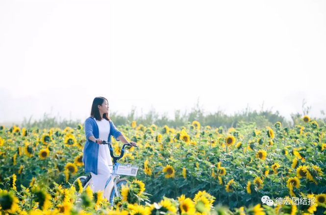 QQ截图20180307153654