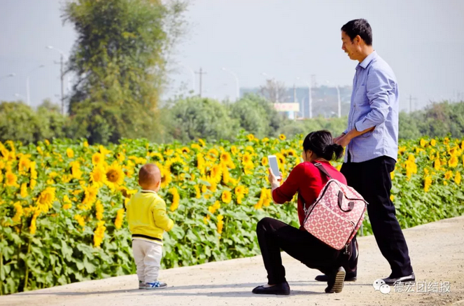 QQ截图20180307154052