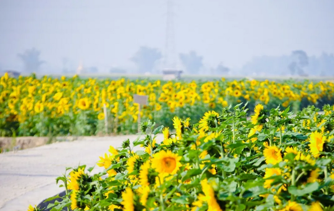 QQ截图20180307154000