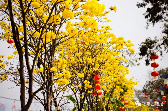 QQ截图20180307154305