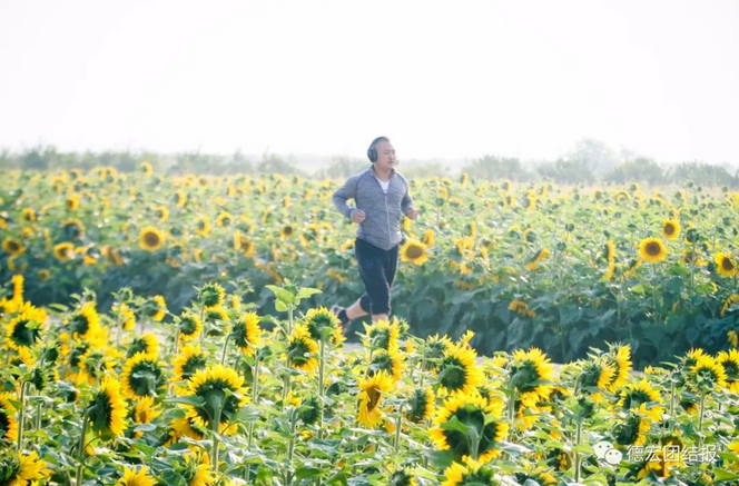 QQ截图20180307154105