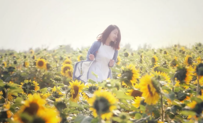 QQ截图20180307154012