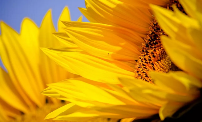 QQ截图20180307153829