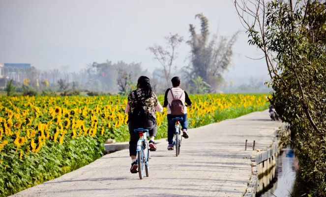 QQ截图20180307154154