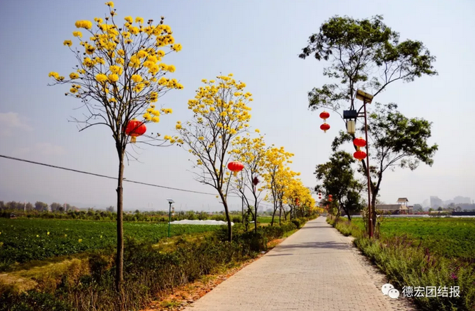 QQ截图20180307154248