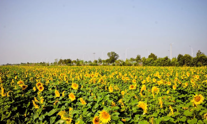 QQ截图20180307154211