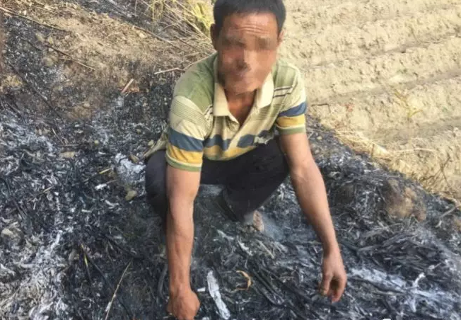 微信截图_20180323164436