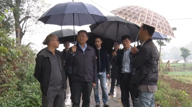 QQ截图20180329165317