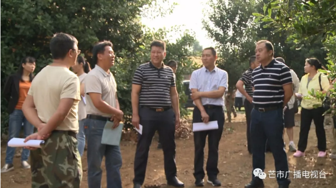 微信截图_20180518141009