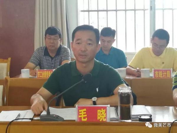 20180629州政府督查组督查芒市重点产业项目建设情况2 (复制)