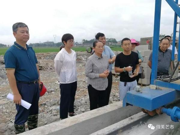 20180709赵冬梅：打造生态田园城市 要狠抓落实污水处理厂建设 (复制)