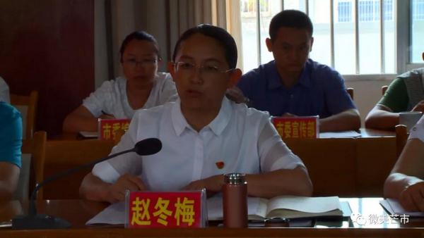 20180712省爱卫办督导芒市国家卫生城市巩固工作3 (复制)