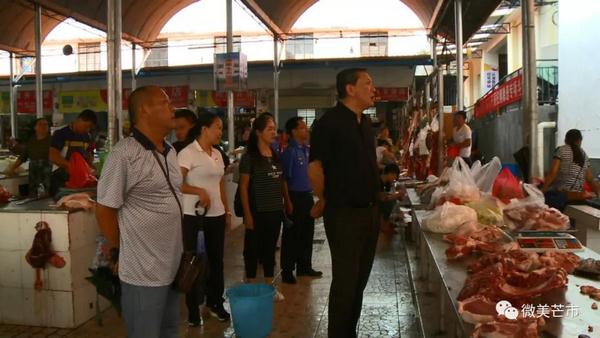 20180712省爱卫办督导芒市国家卫生城市巩固工作 (复制)