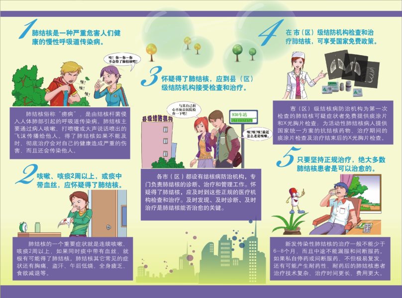 肺结核防治-2