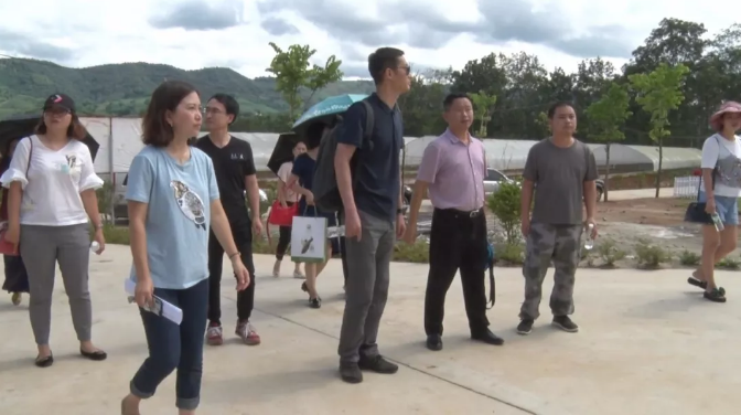 微信截图_20180810224307