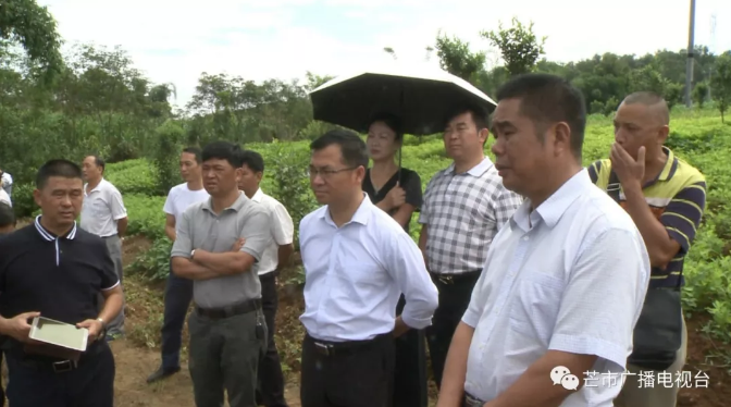 微信截图_20180817175102