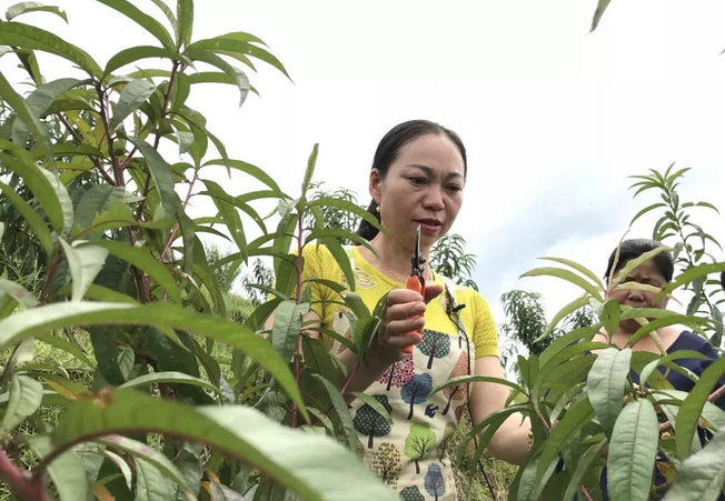 微信截图_20180831105011