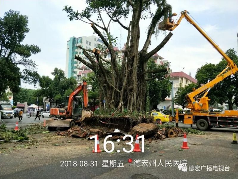 微信图片_20180904102729