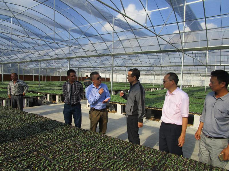 2.2州委农副主任视察育苗区