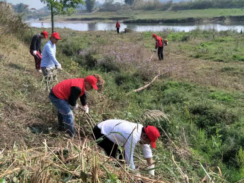 微信图片_20190312143634