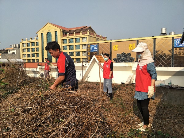 2020年4月6日 办公 环境卫生整治图片5
