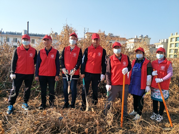 2020年12月28日开展爱国卫生“8个专项行动”机关大院卫生整治工作10pg