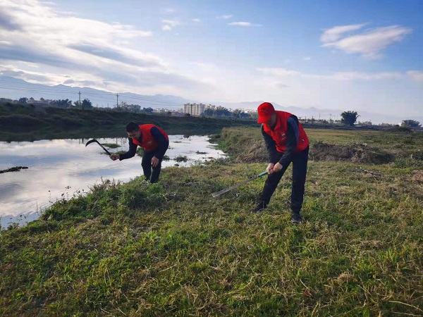 2021年2月9日组织开展春节期间爱国卫生专项整治工作图片12