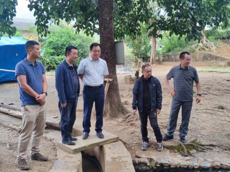 98e57f2fb44883dd2a0b154ef6a6be1