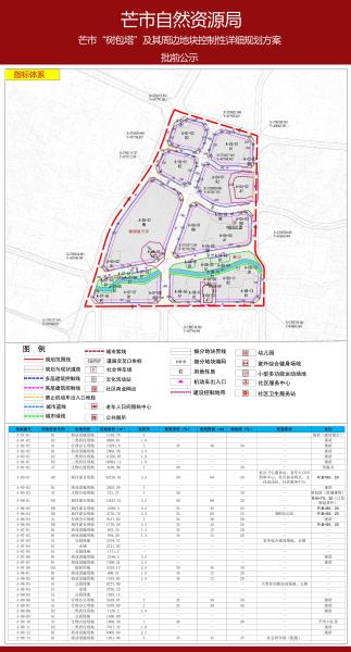 芒市“树包塔”及其周边地块控制性详细规划方案2023.07.27-2023.08.270001