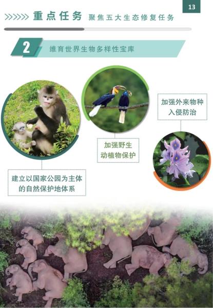 28D00C5W5U240428145443052AA04F