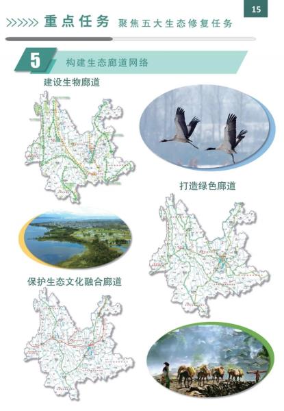 28D00C5W5U24042814545637EECFA9