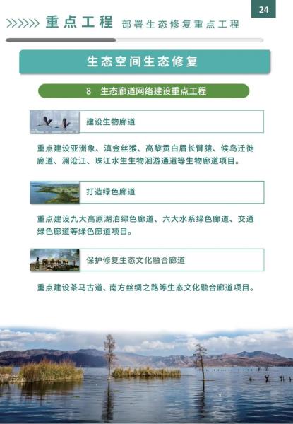 28D00C5W5U24042814562711D610E5