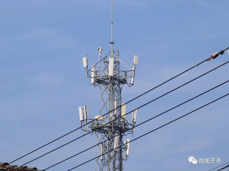 微信图片_20220111155039_副本