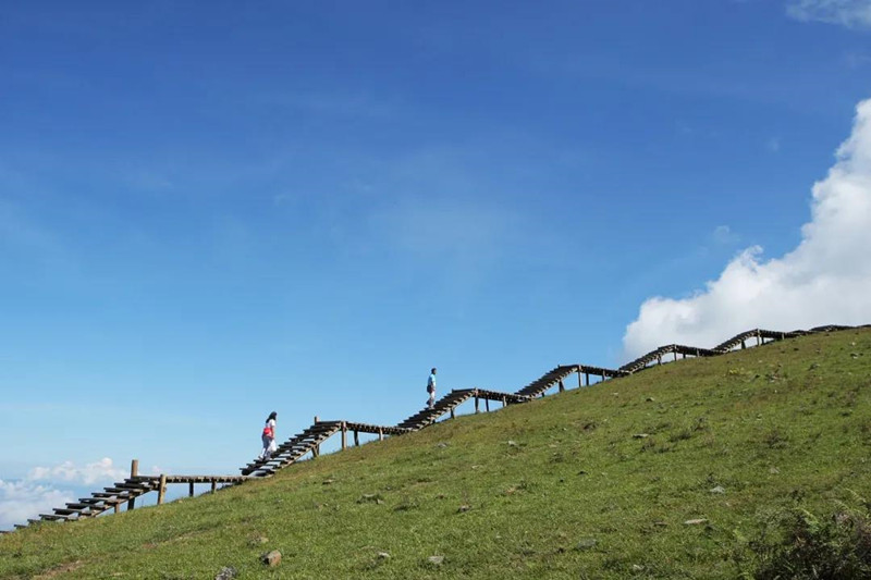 微信图片_20220124163403_副本