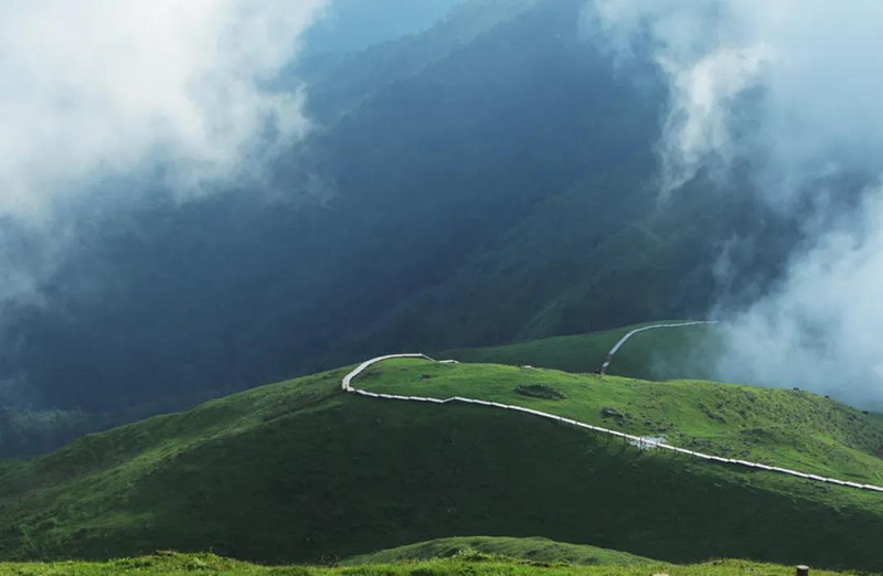 微信图片_20220124163411_副本