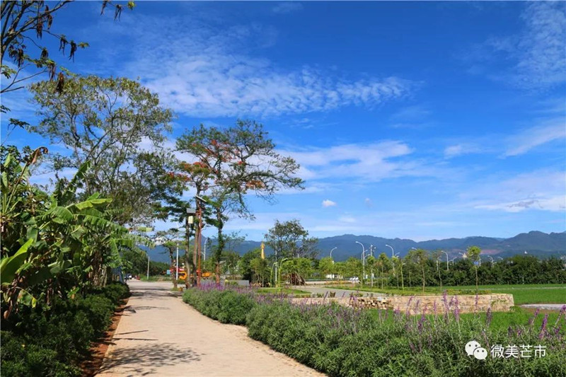 微信图片_20220124163425_副本