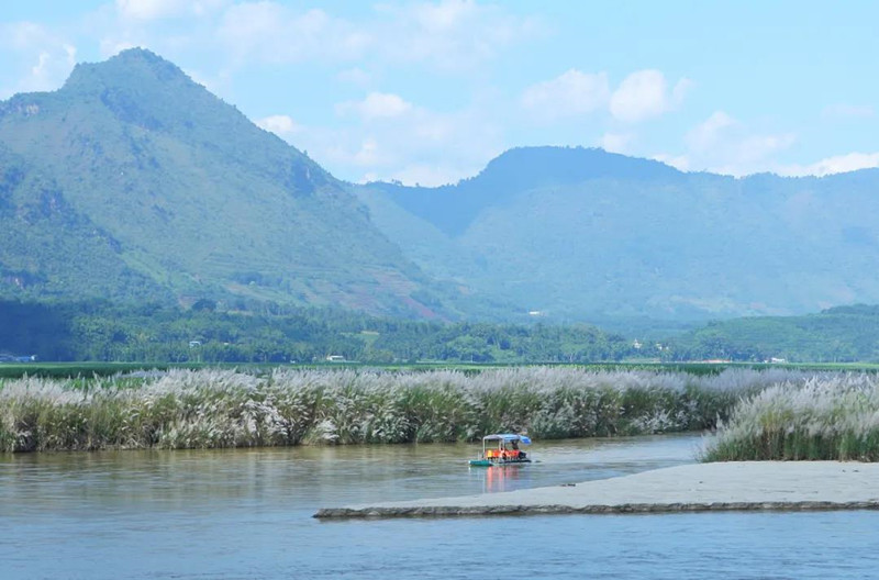 微信图片_20220124163434_副本