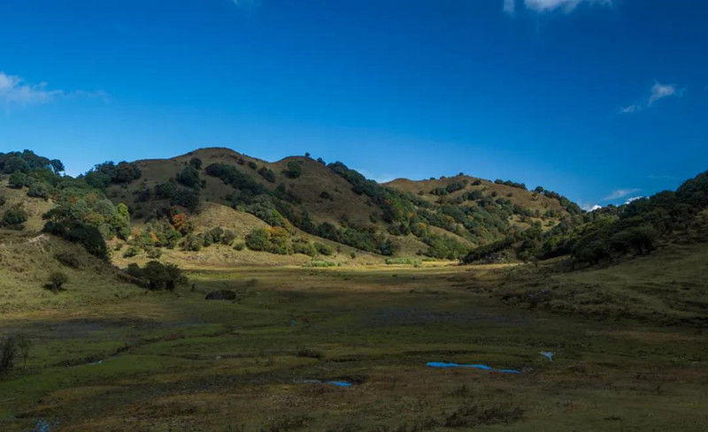 微信图片_20220124163447_副本