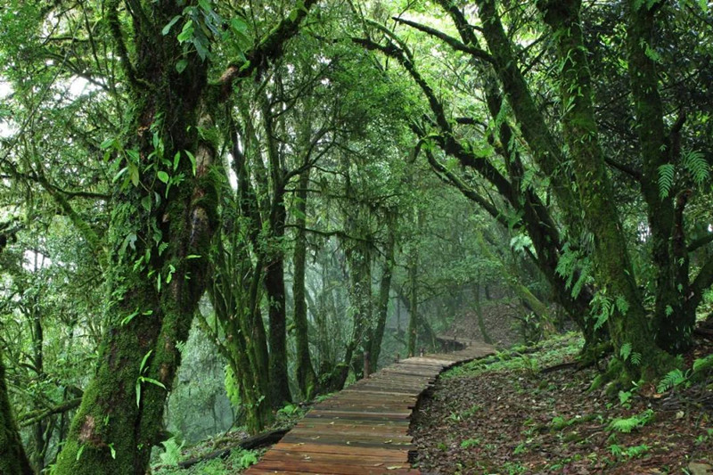 微信图片_20220124163450_副本