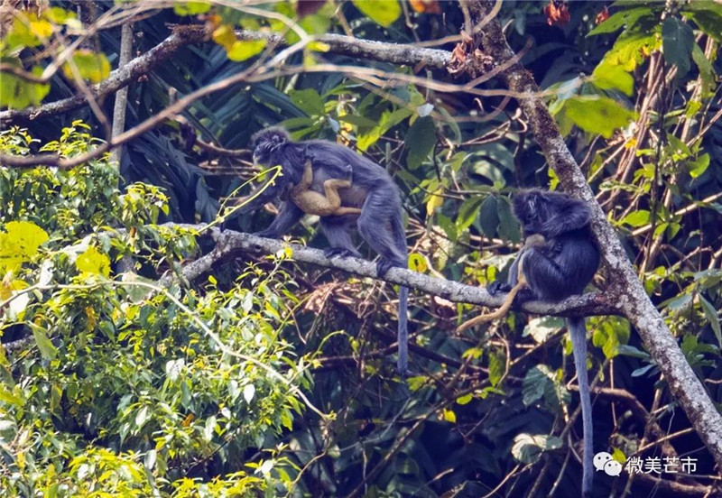 微信图片_20220124163455_副本