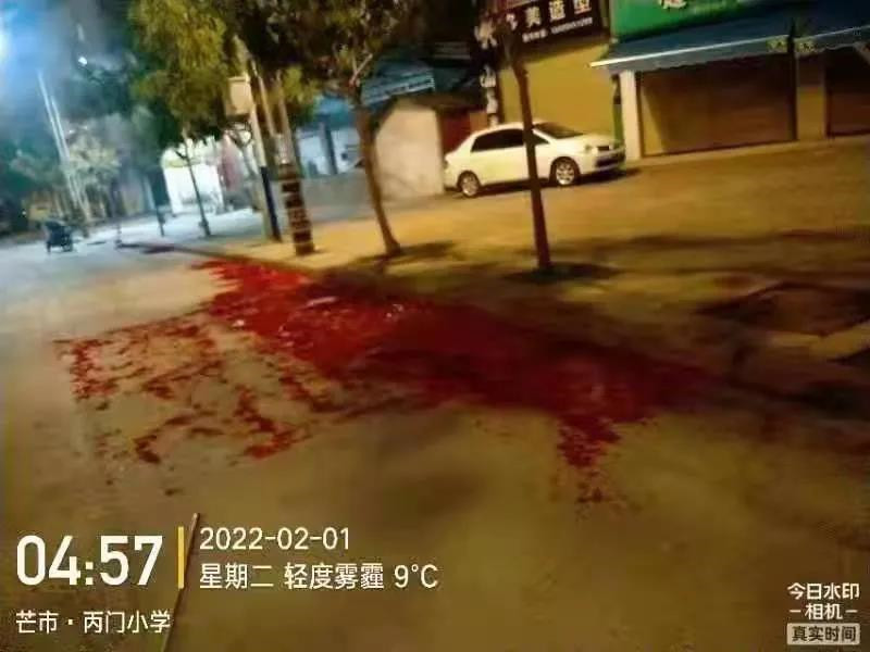 微信图片_20220207092747_副本