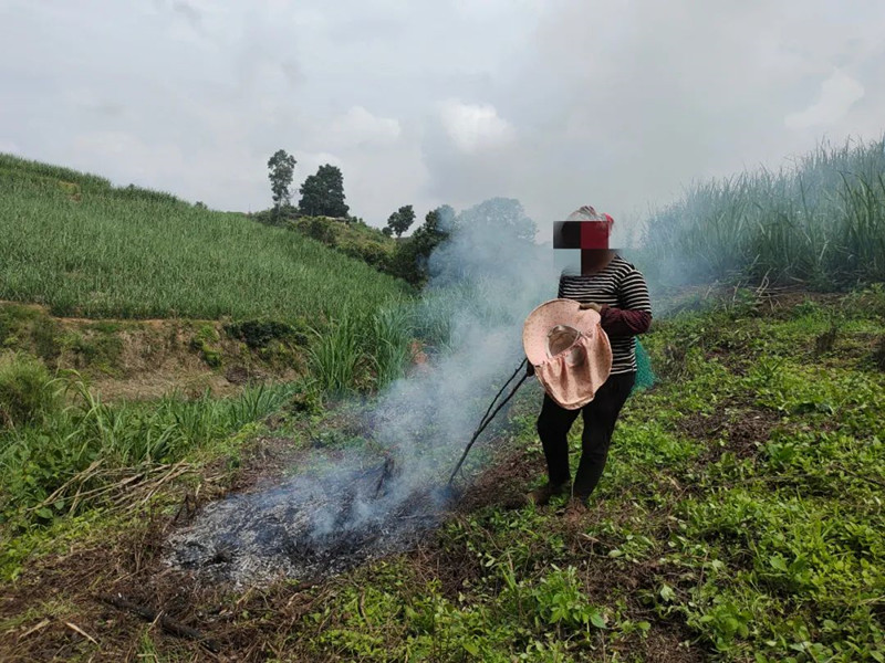 微信图片_20220615091758_副本